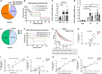 Glucose-Restricted Diet Regulates the Tumor Immune Microenvironment and Prevents Tumor Growth in Lung Adenocarcinoma